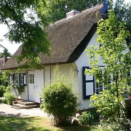 Ferienhaus Strandhaus Ahrenshoop